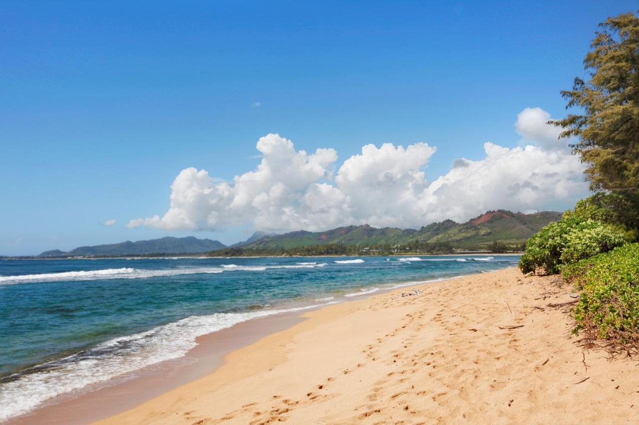 Islander On The Beach 352 Oceanfront *Penthouse* Ac Pool Kapa'a Exteriör bild