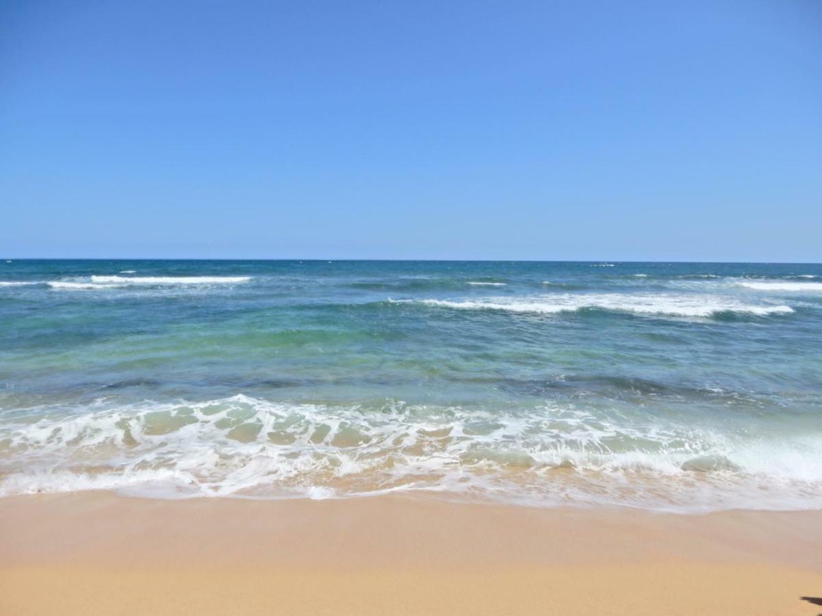 Islander On The Beach 352 Oceanfront *Penthouse* Ac Pool Kapa'a Exteriör bild